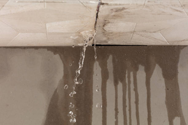 Professional Water Damage Repair technician working in Bohemia, NY